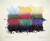 PREIMP21C_IO
