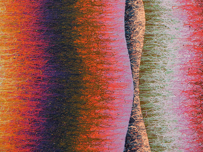 DPoles4