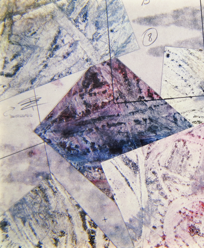 D4_Hadronspection