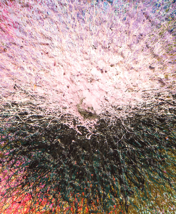 IMP5_XXXXXDETAILC