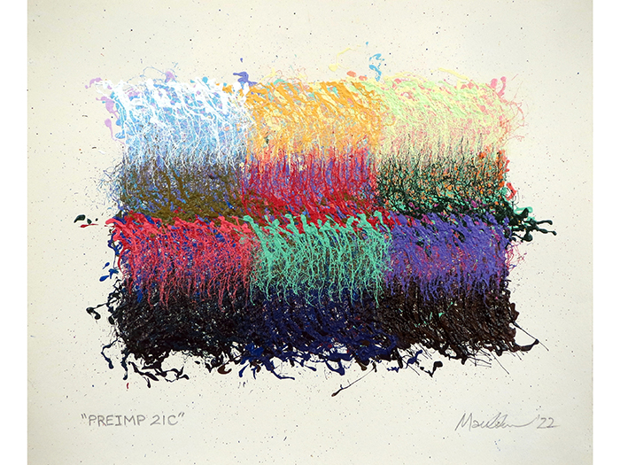 PREIMP21C_IO