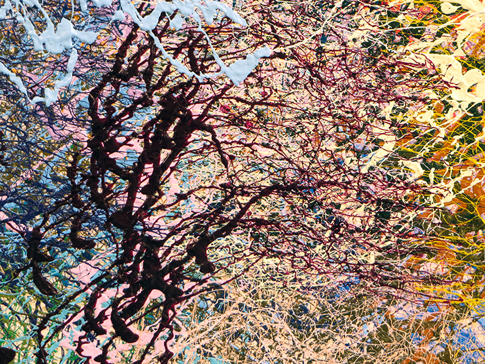 PREIMP2A_XXXXDETAIL