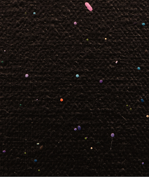 XD_Field_P14